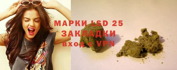 гидра Белая Холуница