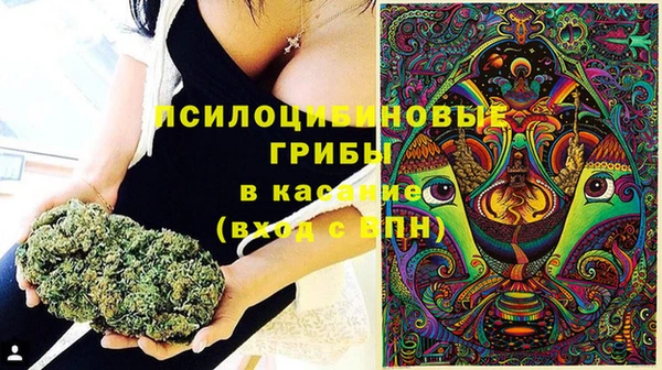 прущая мука Новозыбков
