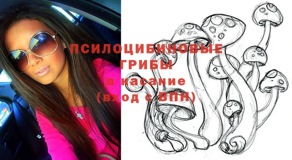 прущая мука Новозыбков
