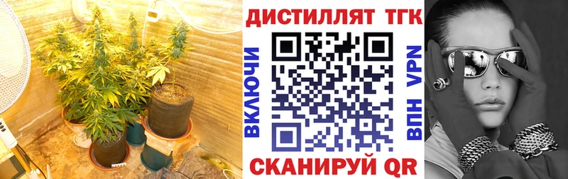 ТГК концентрат  Берёзовский 