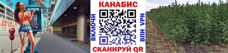 МАРИХУАНА планчик  Берёзовский 